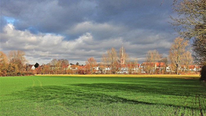 Der Blick vom Feld bei der Fährenstraße über den Main