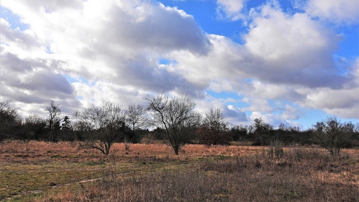 Am Vormittag treibt der Wind dicke, weiße Wolken vor sich her